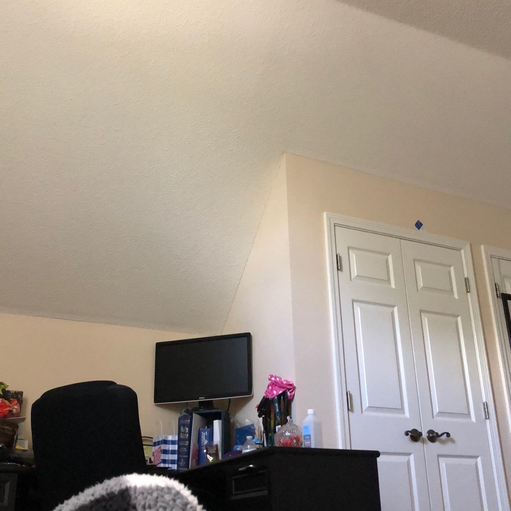 Meet your Posher, Reagan